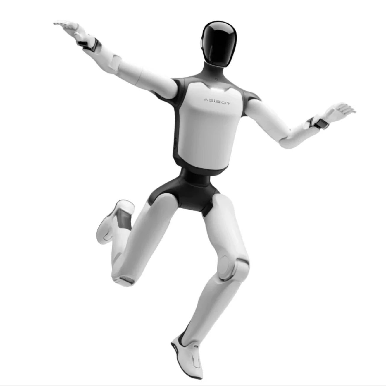 Humanoid robotics